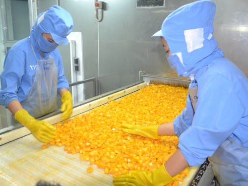 La Russie augmente ses importations de fruits et légumes du Vietnam